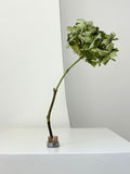 Ikebana | Small