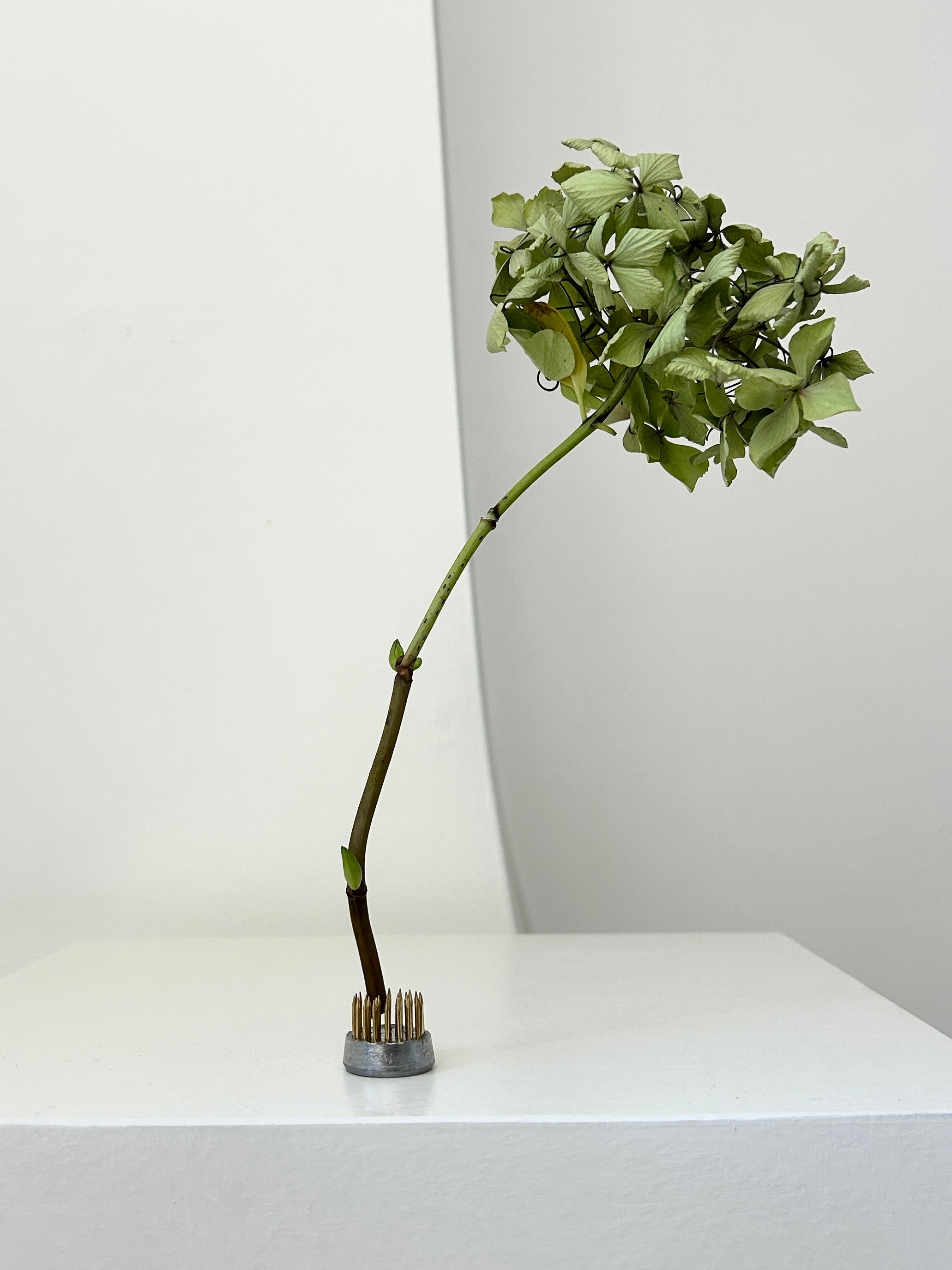 Ikebana | Small