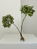 Ikebana | Medium