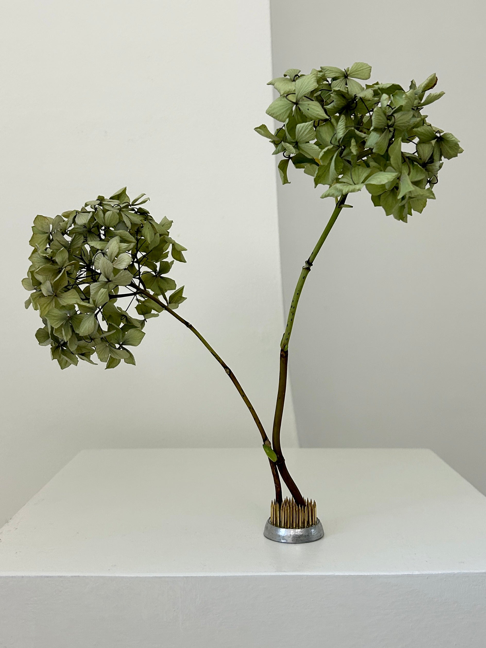 Ikebana | Medium