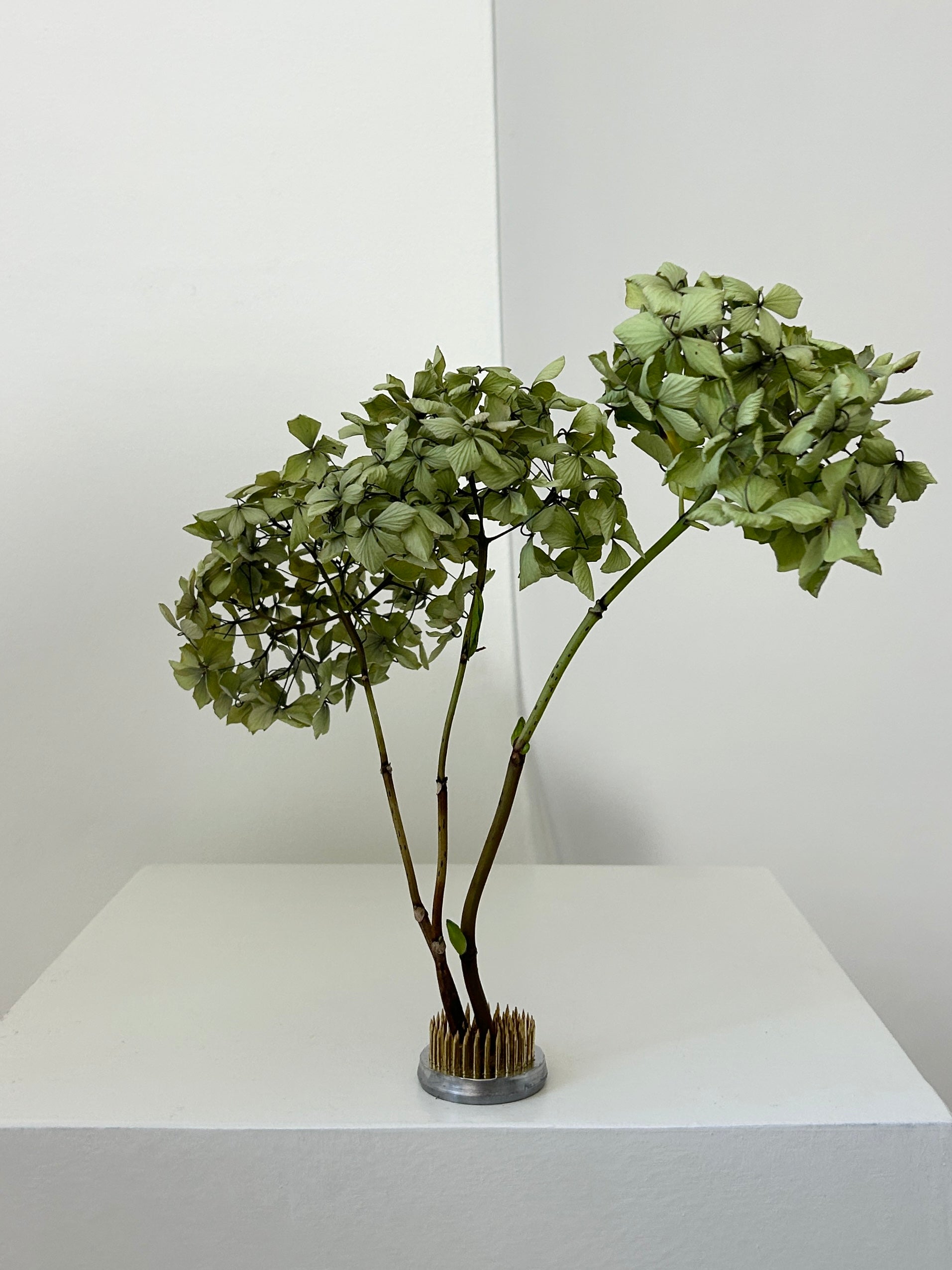 Ikebana | Large